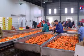 为越南农水产品拓宽销路