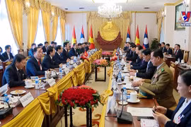 越南国家主席武文赏与老挝国家主席通伦举行会谈