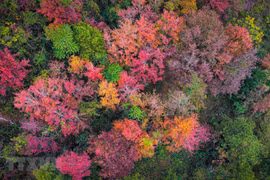 组图：高平省边境地区美不胜收的冬日美景