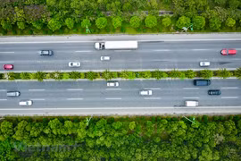 组图：河内实现城市道路景观绿化 力争至2022年种植20多万棵绿树