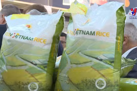 越南大米首次在法国E.Leclerc超市上架