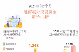 图表新闻：2021年前7个月越南竞赛投资资金增长1.3倍