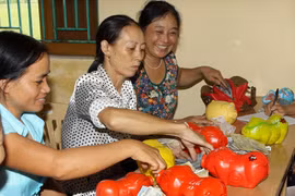 组图：回忆越南妇女的精彩时刻