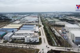 ​ 越南多元化的文化是吸引外国游客的一个因素