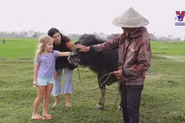 疫情过后大力开发乡村旅游产品