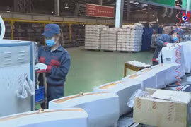 北宁省企业坚持两手抓 保持企业活力