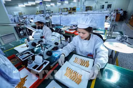 图表新闻：2023年越南新成立企业创历史新高