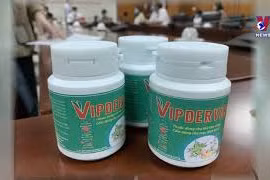 越南治疗新冠肺炎草药临床前研究结果出炉