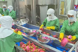 提升出口水果价值 奋力突破40亿美元大关 