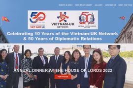 越英友好网络为增进越英友好合作牵线搭桥
