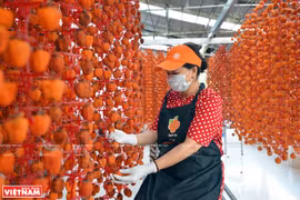 组图：大叻风干柿子