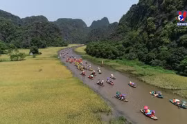 国际游客的越南旅游信息搜索量继续增加