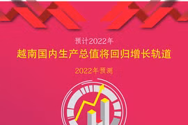 图表新闻：预计2022年越南国内生产总值将回归增长轨道