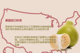 图表新闻：柚子是越南获准向美国市场出口的第７种水果