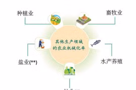 图表新闻：力争到2030年将越南打造成为全球十大农产品加工中心