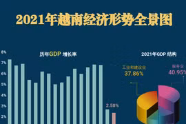 互动图表：2021年越南经济形势全景图