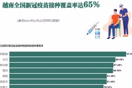 互动图表：越南全国新冠疫苗接种覆盖率达65%