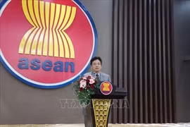 中国愿继续积极支持越南东盟轮值主席国工作