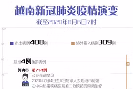 图表新闻：8月6日上午越南新增4例新冠确诊病例