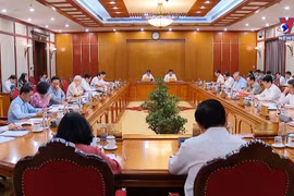 越共中央总书记阮富仲主持召开中央政治局和书记处会议
