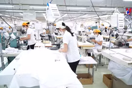 越南是经济增长率较高的国家之一