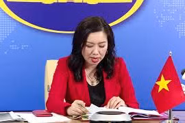 越南外交部举行视频新闻发布会