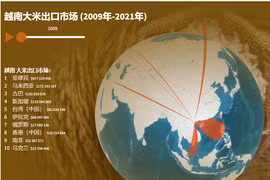 互动图表：越南大米出口市场（2009年-2021年）