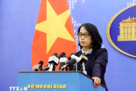外交部例行记者会：坚决采取适当措施行驶越南对海域的主权