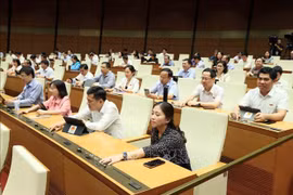 6月8日下午，与会代表投票通过关于2025年法律和法令制定计划和2024年法律法令制定计划调整方案的决议。图自越通社