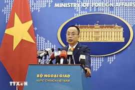 越南外交部副发言人段克越。图自越通社