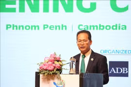 柬埔寨环境部部长杨·索帕勒。图自越通社