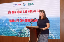 美国国际开发署驻越南代表团副主任黛布拉•莫泽尔在活动上发言。图自越通社