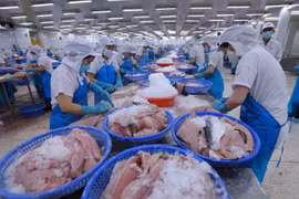 越南考虑批准英国加入《全面与进步跨太平洋伙伴关系协定》文件 