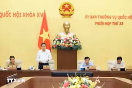 国会常务副主席陈青敏在会议上发表讲话。图自越通社