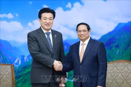 越南政府总理范明政会见日本防卫大臣木原稔