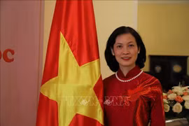 黎金龟大使：几内亚比绍共和国总统正式访问越南具有重要意义