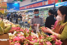 今年5月份，越南蔬果出口额预计达7亿美元，较去年同期增长7.4%。图自vietnam+