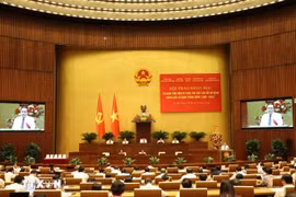 越南国会主席陈青敏发表讲话。图自越通社