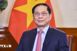 越南政府副总理兼外交部长裴青山。图自越通社