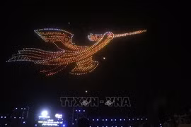 阿联酋队的无人机灯光秀让竹岛的夜空闪闪发光。图自越通社