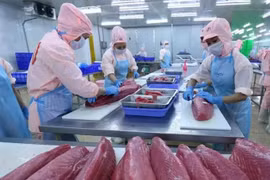 努力打击IUU捕捞，解除欧盟“黄牌”警告。图自互联网