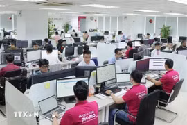 Momo电子钱包人员在办公室工作。图自越通社