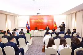 越南政府总理范明政会见老挝代表机构干部