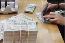 7月16日上午越南各家商业银行美元汇率稳定 。图自越通社
