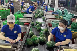 附图 图自互联网