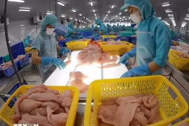 附图 图自越通社