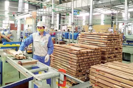 嘉莱木材加工业制定规划战略 力争站稳欧盟市场
