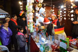 “德国味”圣诞节展会在河内举行（组图）