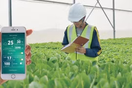 应用高科技助力农业转型
