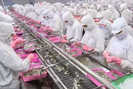 越南虾类出口活动保持良好发展势头